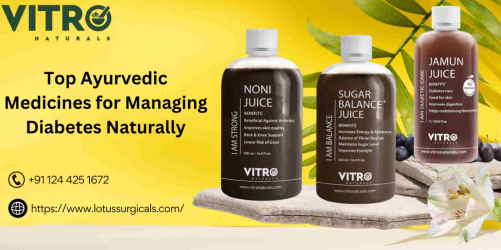 Top Ayurvedic Medicines for Managing Diabetes Naturally  – Vitro Naturals