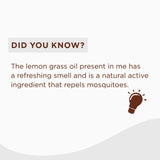 Mosquito Repellent Room Spray - Vitro Naturals