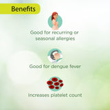 Vitro Dangee+ Juice 500ml | Papaya Leaf Juice with 7 Herbs | Giloy, Neem, Tulsi & Mulethi | Supports Immunity & Healthy Platelet Count | Enhanced Formula with Honey for Better Taste - Vitro Naturals