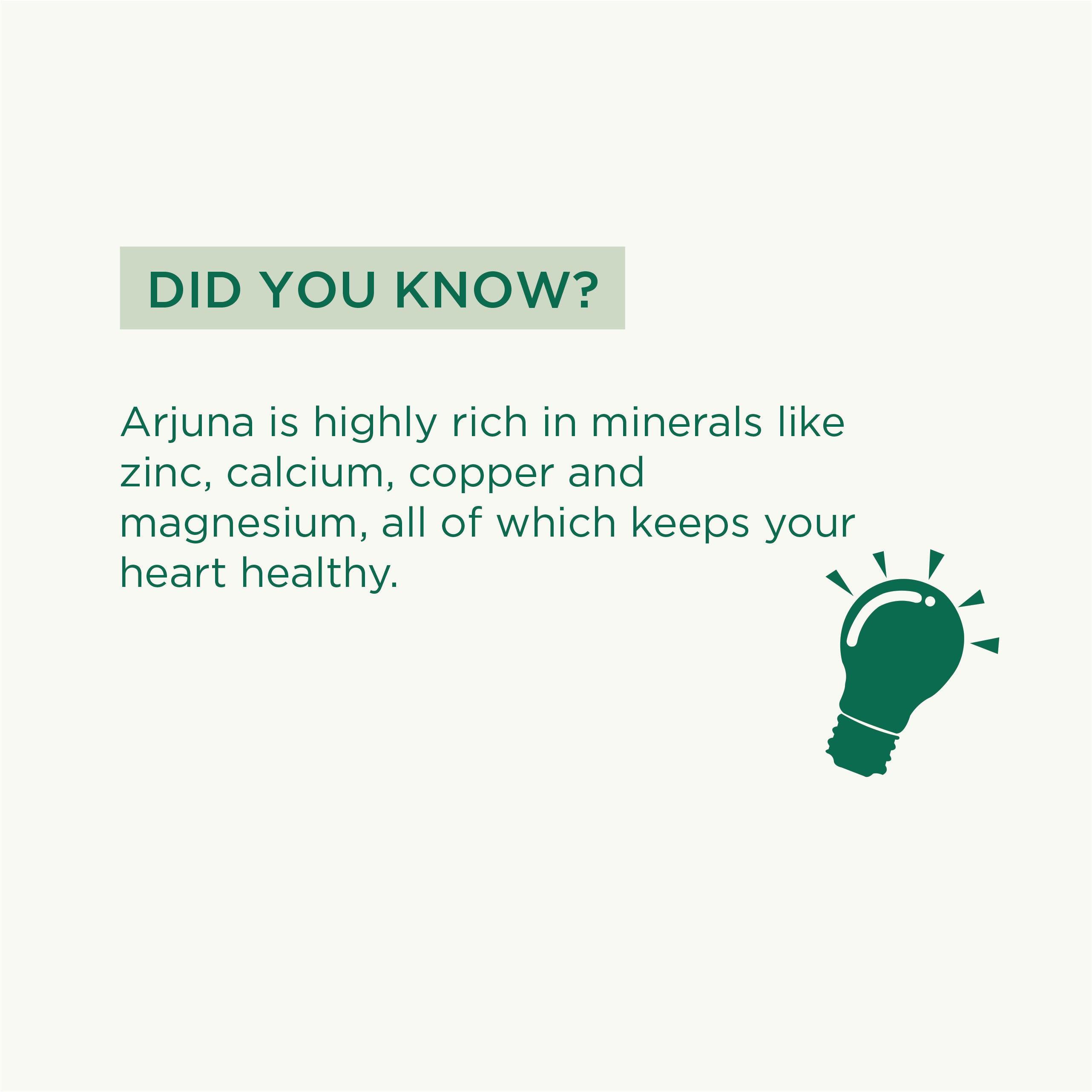 Vitro Amla Arjuna Juice 500ml | Arjuna Chaal & Amla for Cholesterol Care & Heart Health | Ayurvedic Blend that Supports Cardiovascular Health | Buy 1 Get 1 Free - Vitro Naturals