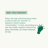 Vitro Aloe Wheatgrass Juice 500ml | Ayurvedic Detox Drink for Liver Cleanse, Digestion, Blood Purification & Metabolism | 82% Aloe Vera juice & 15% Wheatgrass Juice - Vitro Naturals