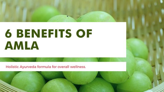 6 unbelievable benefits of Amla ( Indian Gooseberry)| A definitive guide on how Amla juice can improve your health