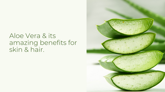 Aloe Vera & its amazing benefits for skin & hair 
