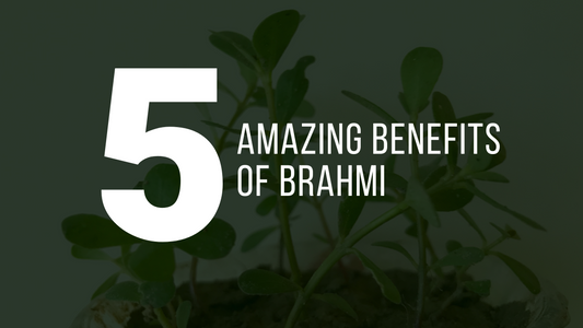 Brahmi & Its Amazing Health Benefits