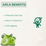 Amla Juice