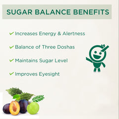 Vitro Sugar Balance Juice benefits