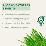Vitro Aloe Wheatgrass Juice 500ml | Ayurvedic Detox Drink for Liver Cleanse, Digestion, Blood Purification & Metabolism | 82% Aloe Vera juice & 15% Wheatgrass Juice - Vitro Naturals