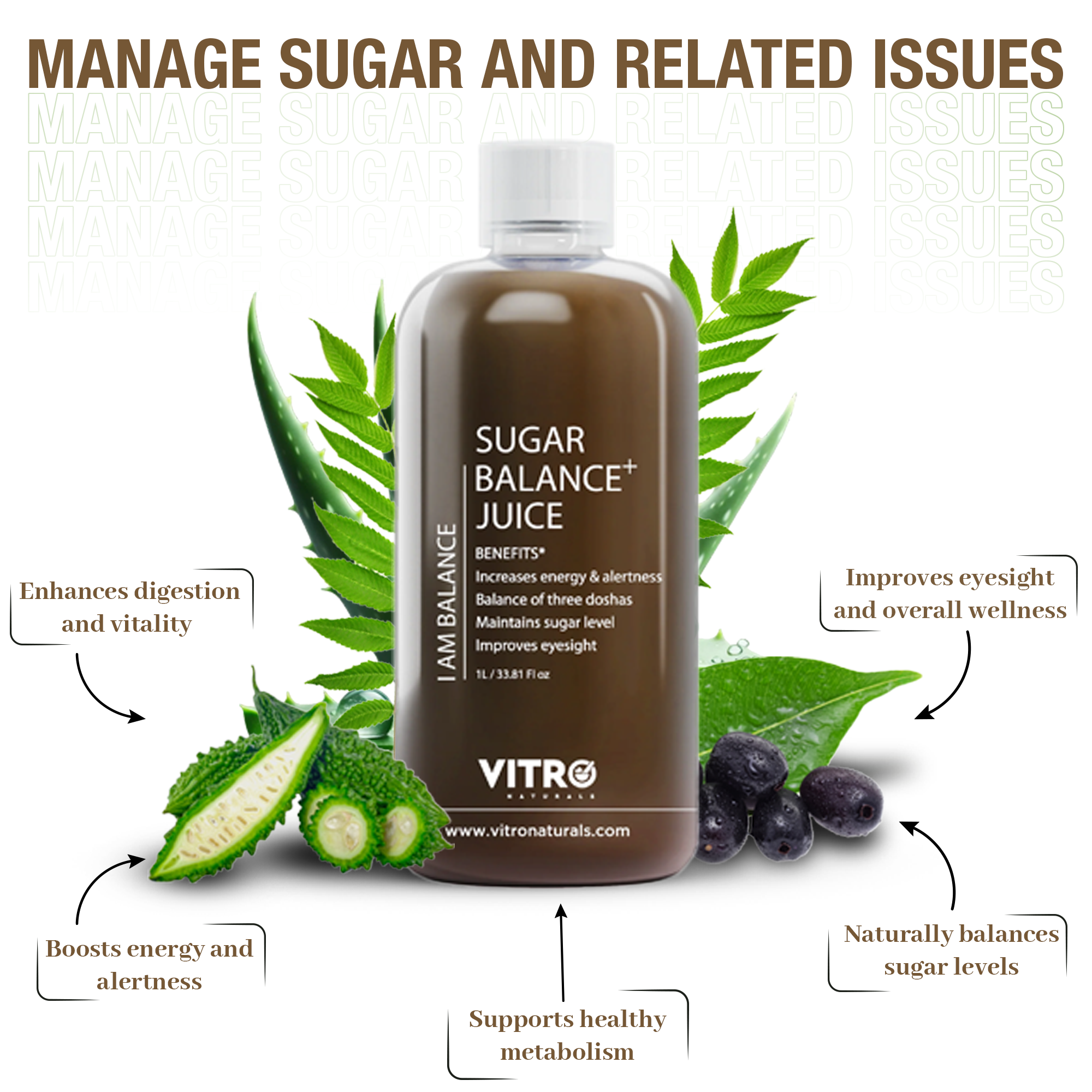 Sugar Balance Juice Better than Karela Jamun Powder